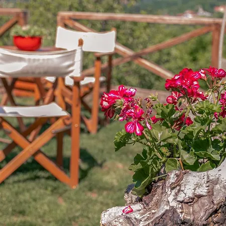 Lunija * Gornji Milanovac