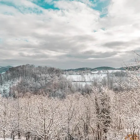 Lunija Gornji Milanovac